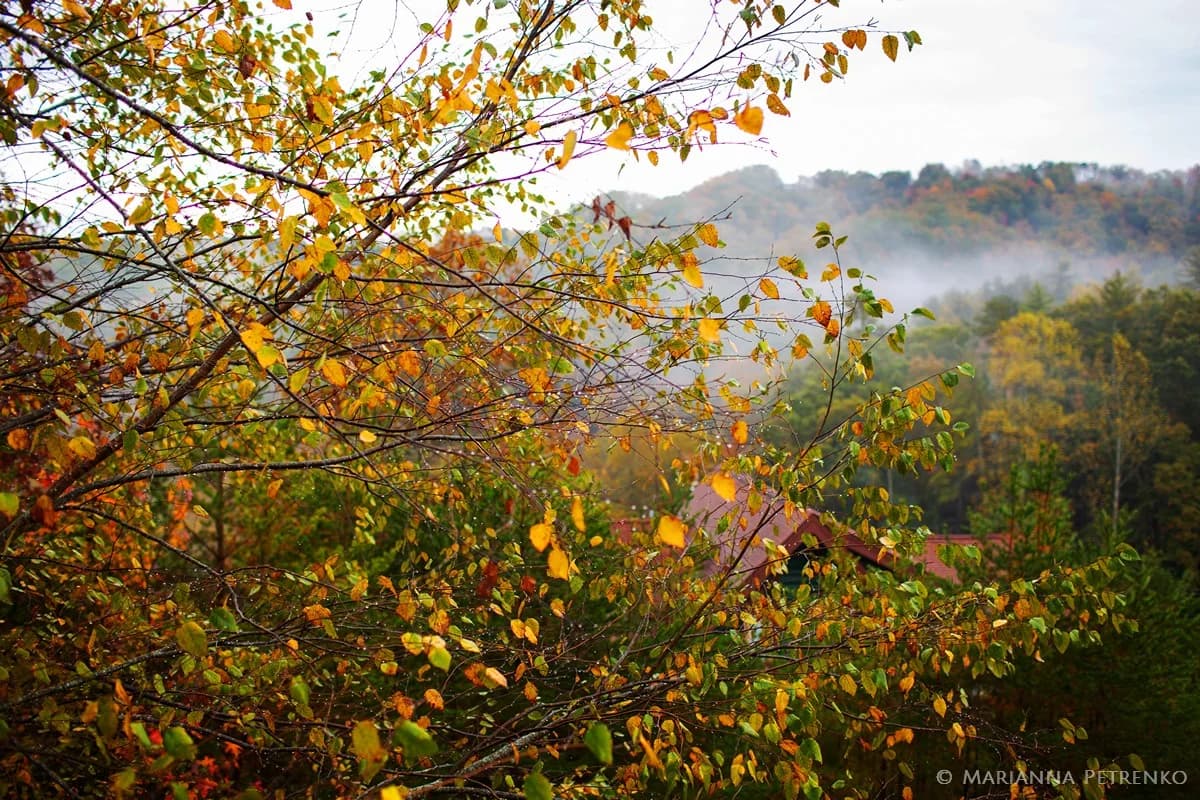 Autumn foliage and misty Smoky Mountains view near Dollywood at Moose Hollow Lodge in Pigeon Forge