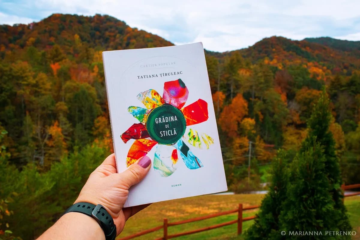Stunning autumn mountain views and rustic fence for quiet reading at Moose Hollow Lodge near Dollywood.